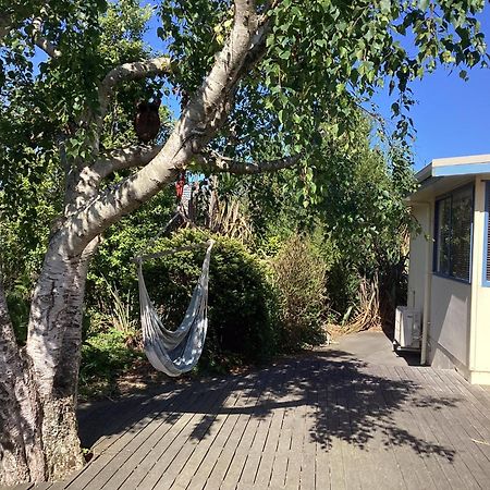 Stay In School By The Sea Dunedin Exteriör bild