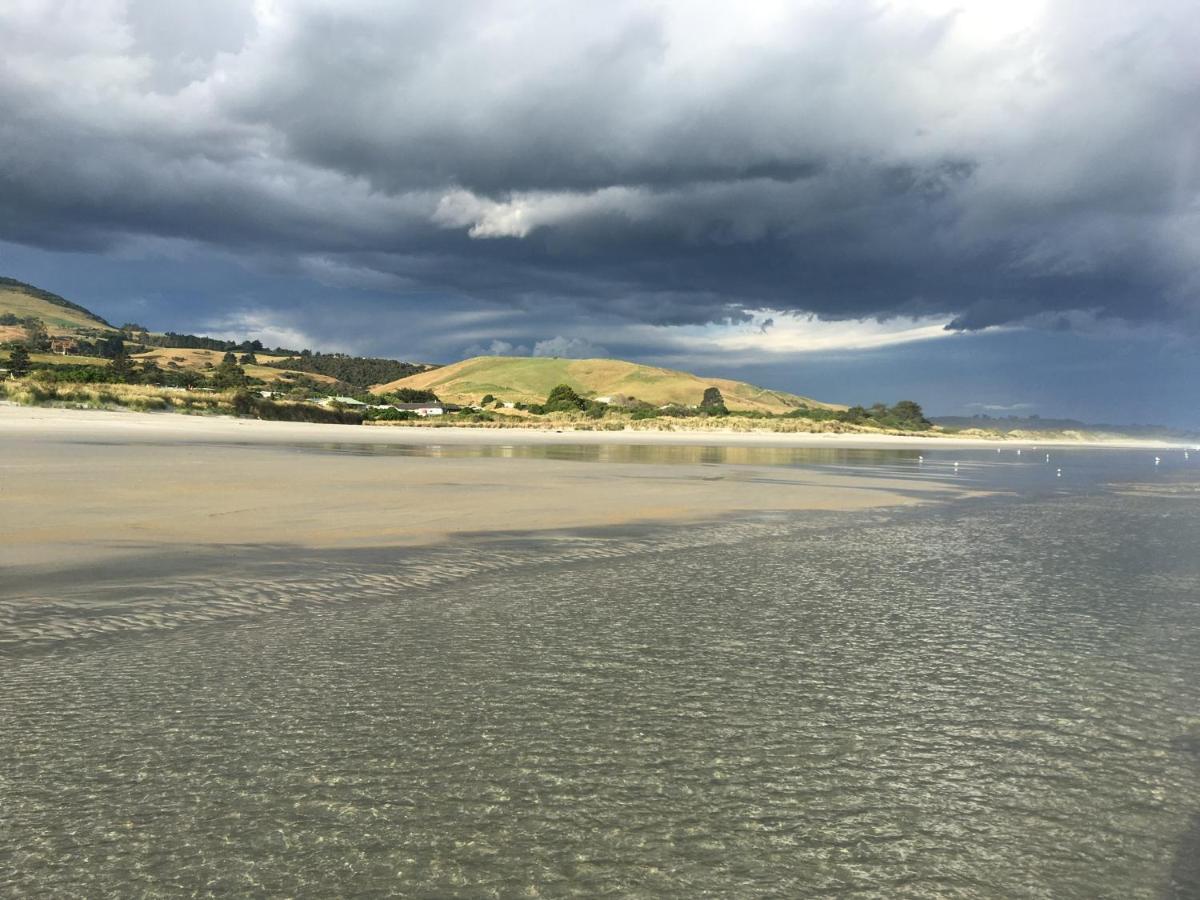 Stay In School By The Sea Dunedin Exteriör bild