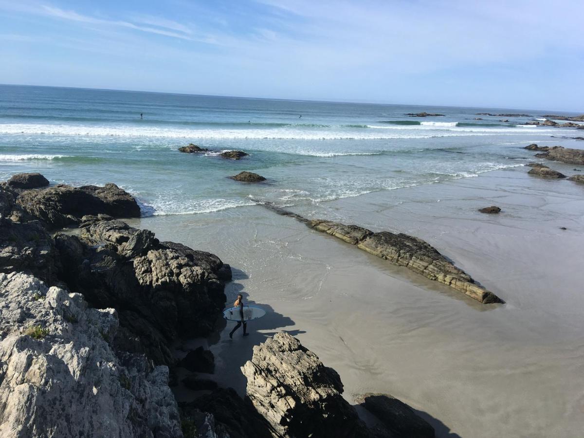 Stay In School By The Sea Dunedin Exteriör bild
