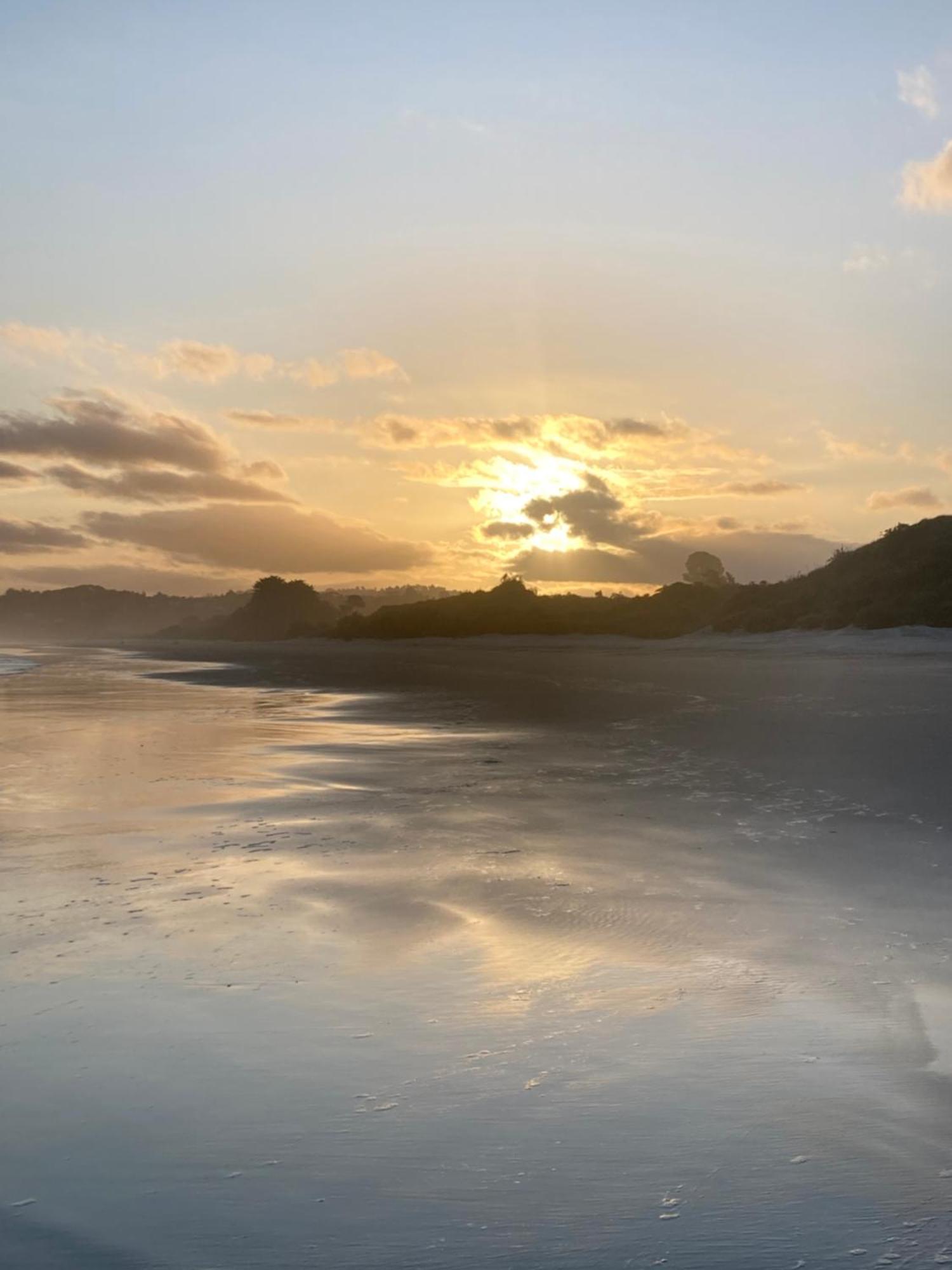 Stay In School By The Sea Dunedin Exteriör bild