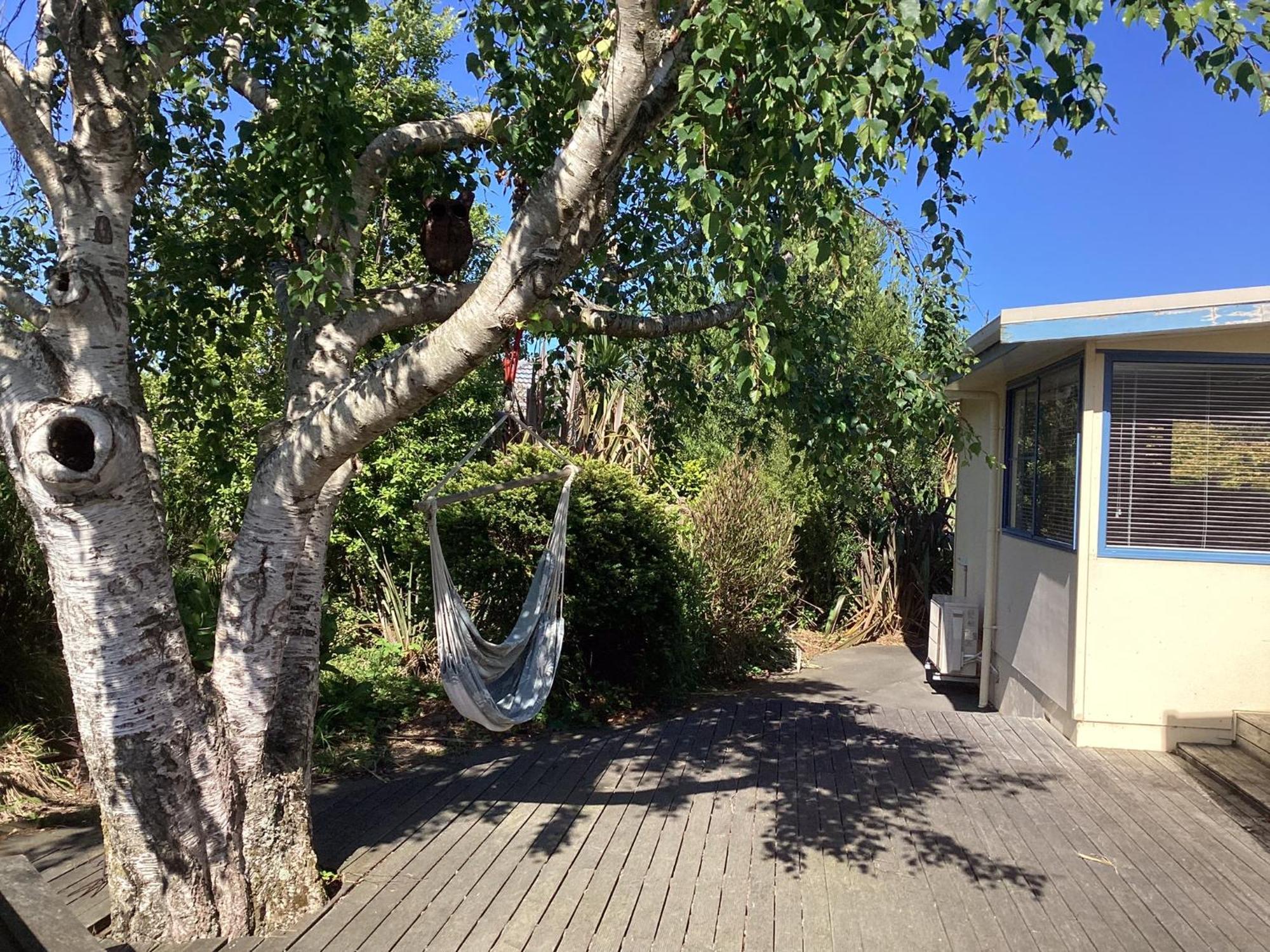 Stay In School By The Sea Dunedin Exteriör bild